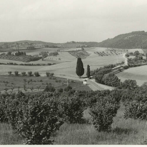 Black and white photograph of an aerial view landscape.